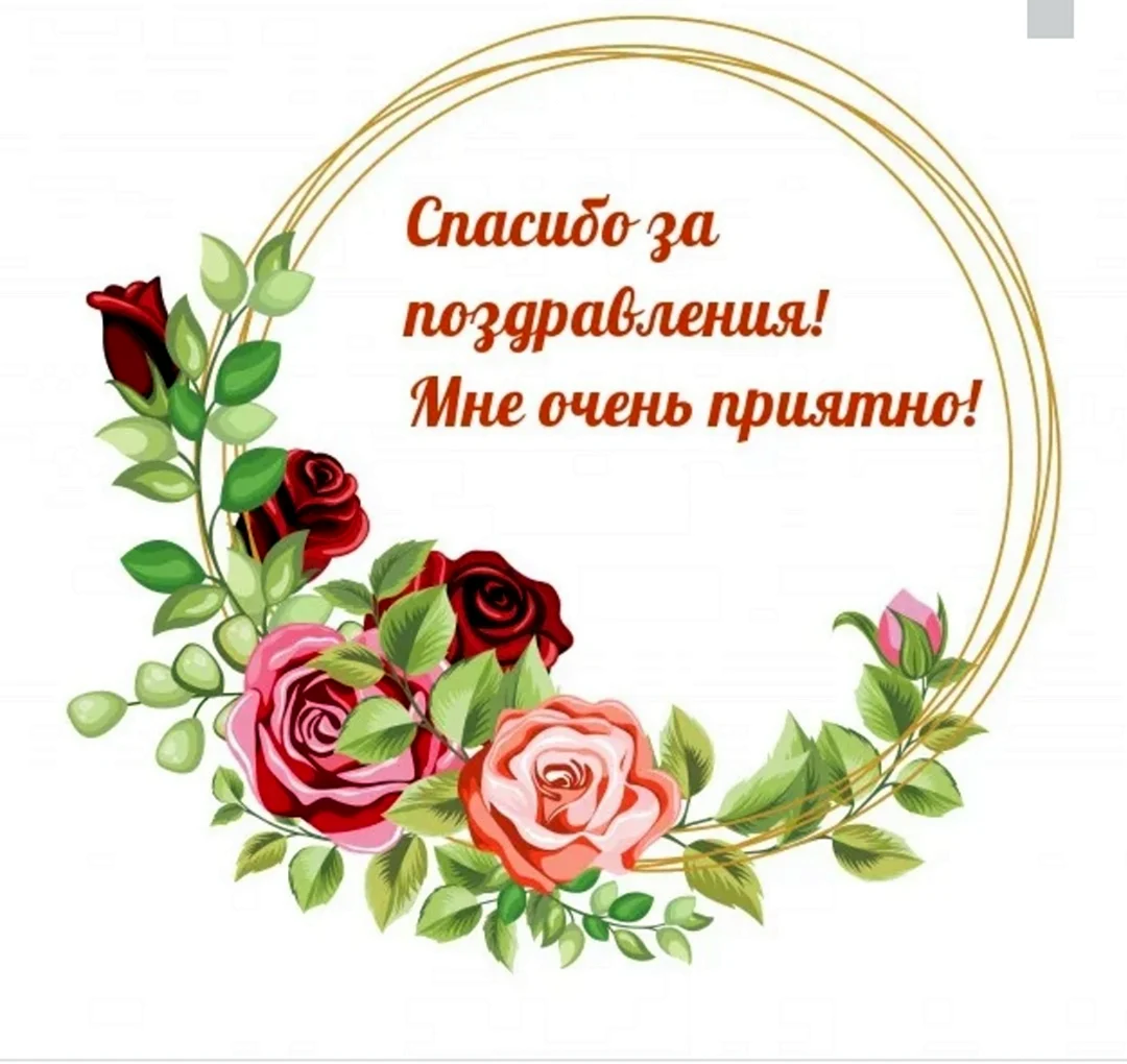 Спасибо за поздравления очень приятно