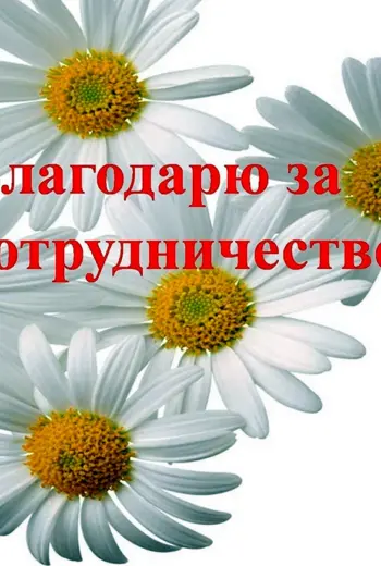 Спасибо за сотрудничество