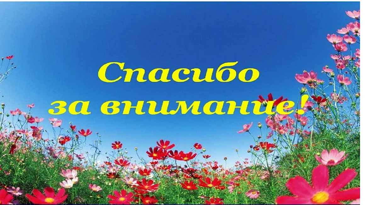Спасибо за внимание