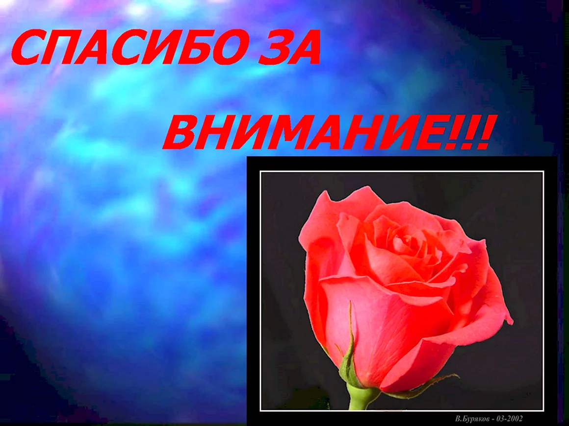 Спасибо за внимание
