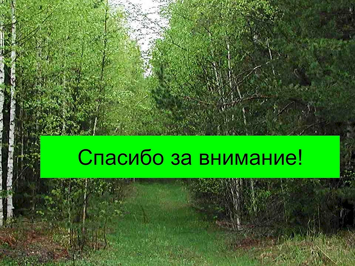 Спасибо за внимание биология