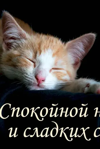 Спокойной ночи