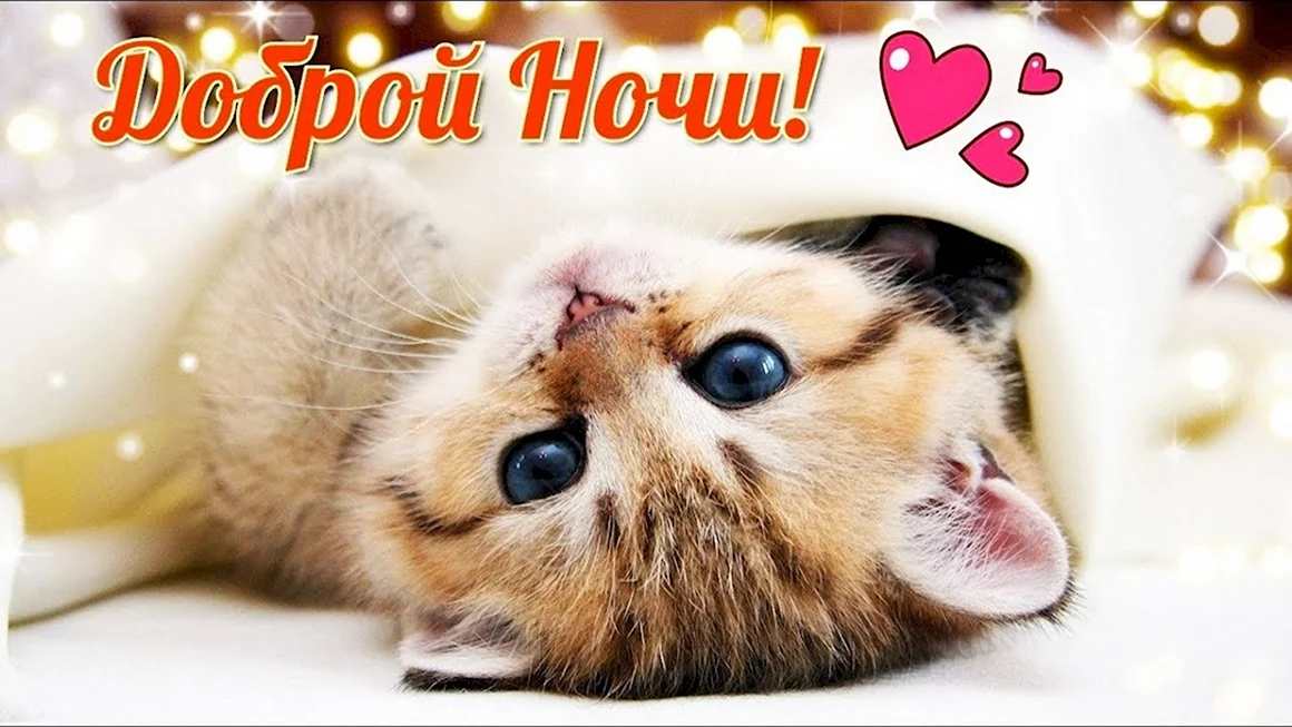 Спокойной ночи