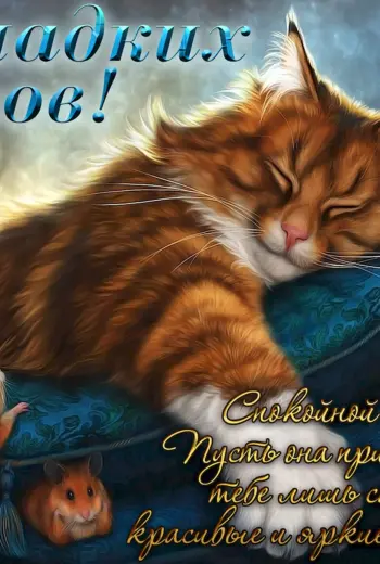 Спокойной ночи