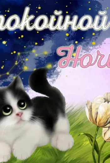 Спокойной ночи