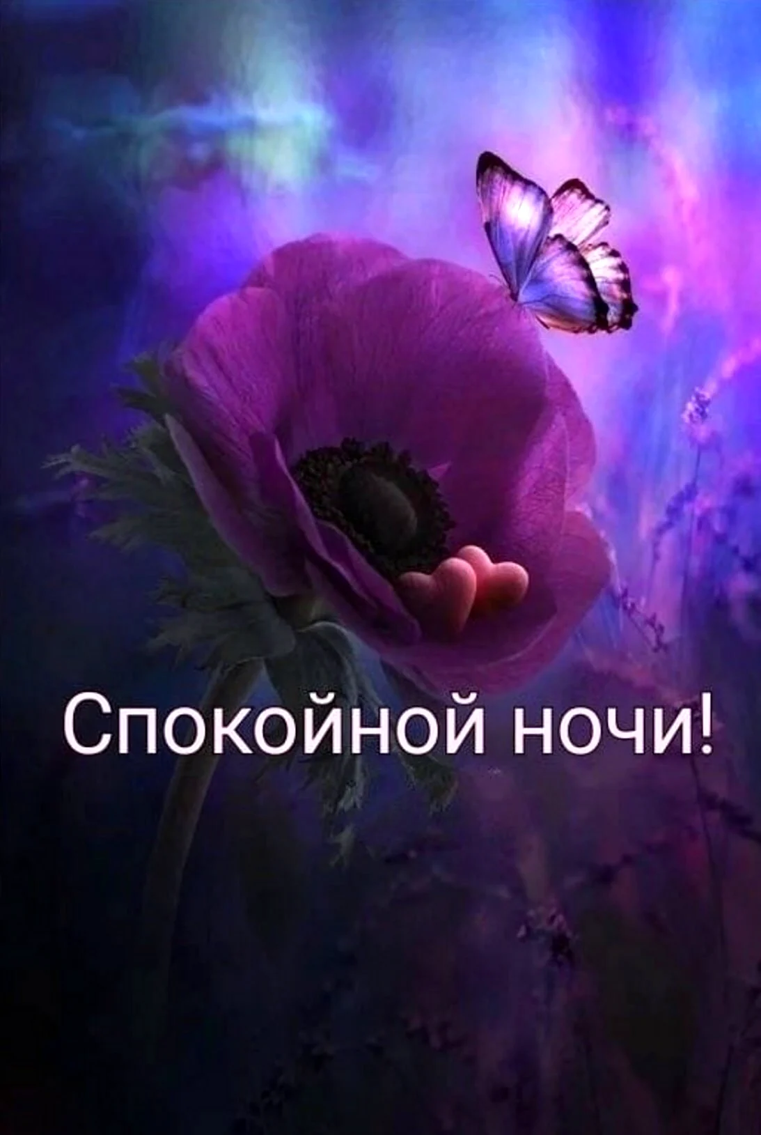 Спокойной ночи дорогой мой