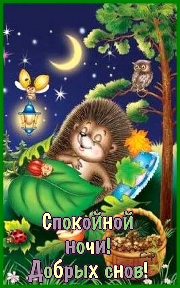 Спокойной ночи Ежик