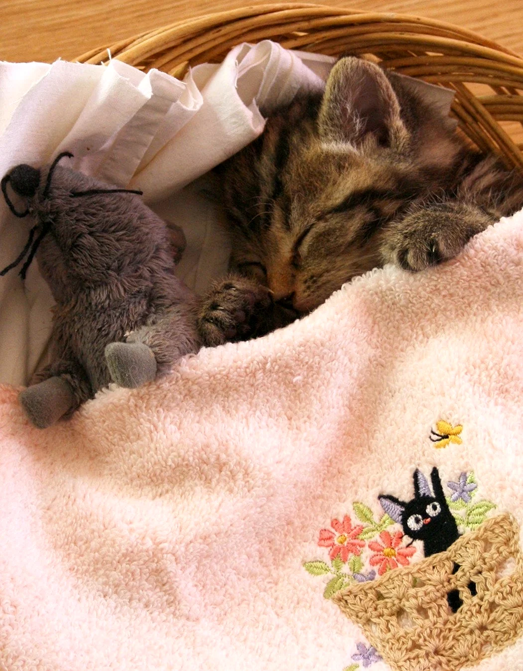 Спокойной ночи кот