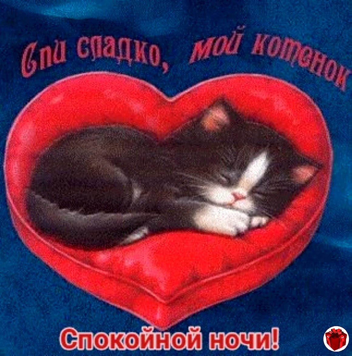 Спокойной ночи котёнок мой