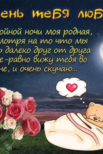 Спокойной ночи любимая