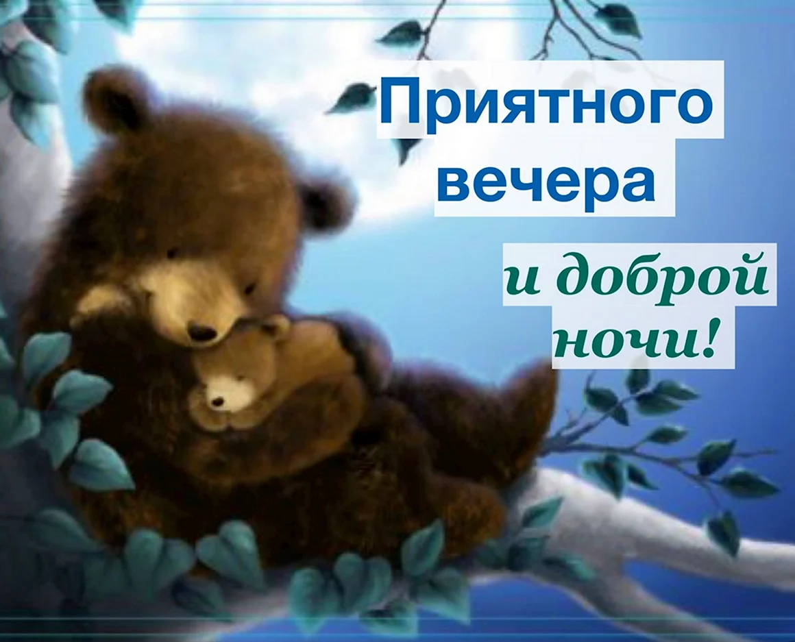 Спокойной ночи Медвежонок