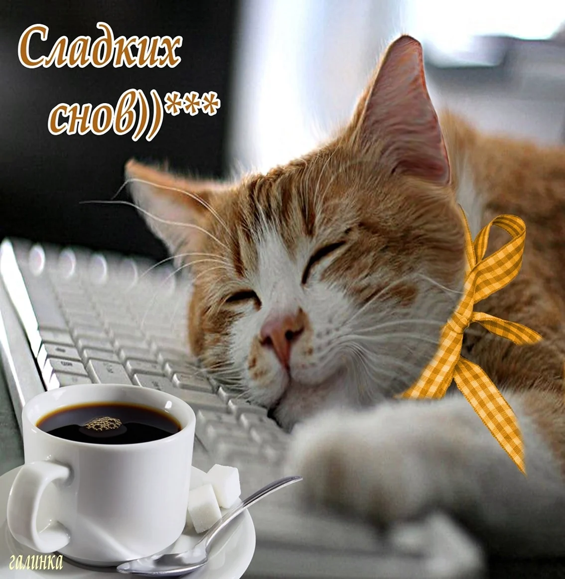 Спокойной ночи понедельник