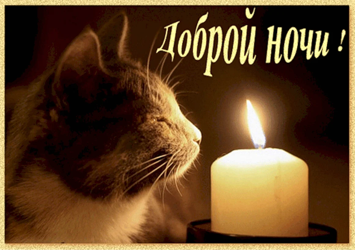 Спокойной ночи со свечами и котиком