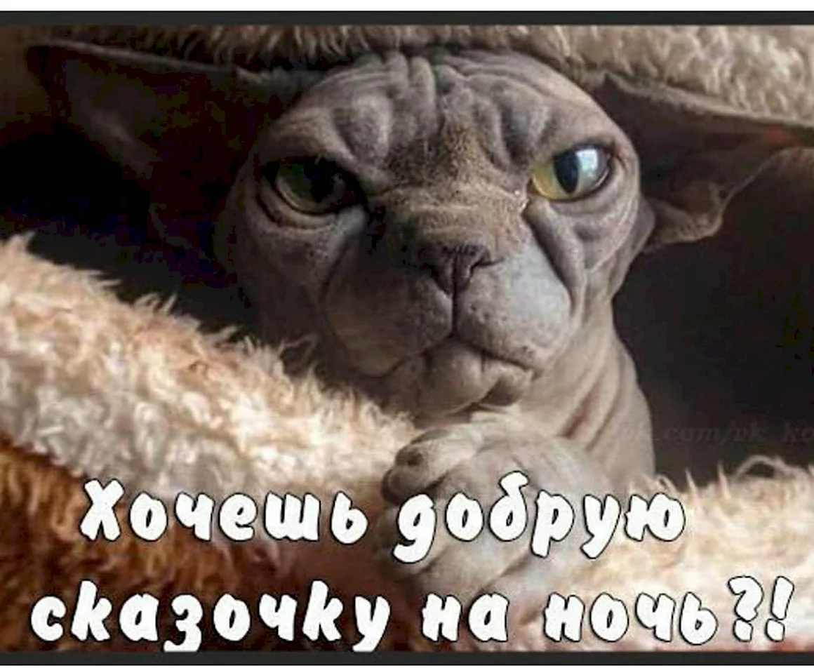 Спокойной ночи завтра на работу