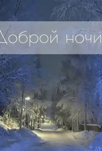 Спокойной зимней ночи