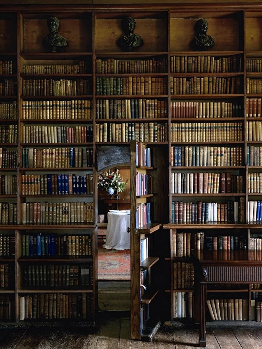 Старинные книжные полки