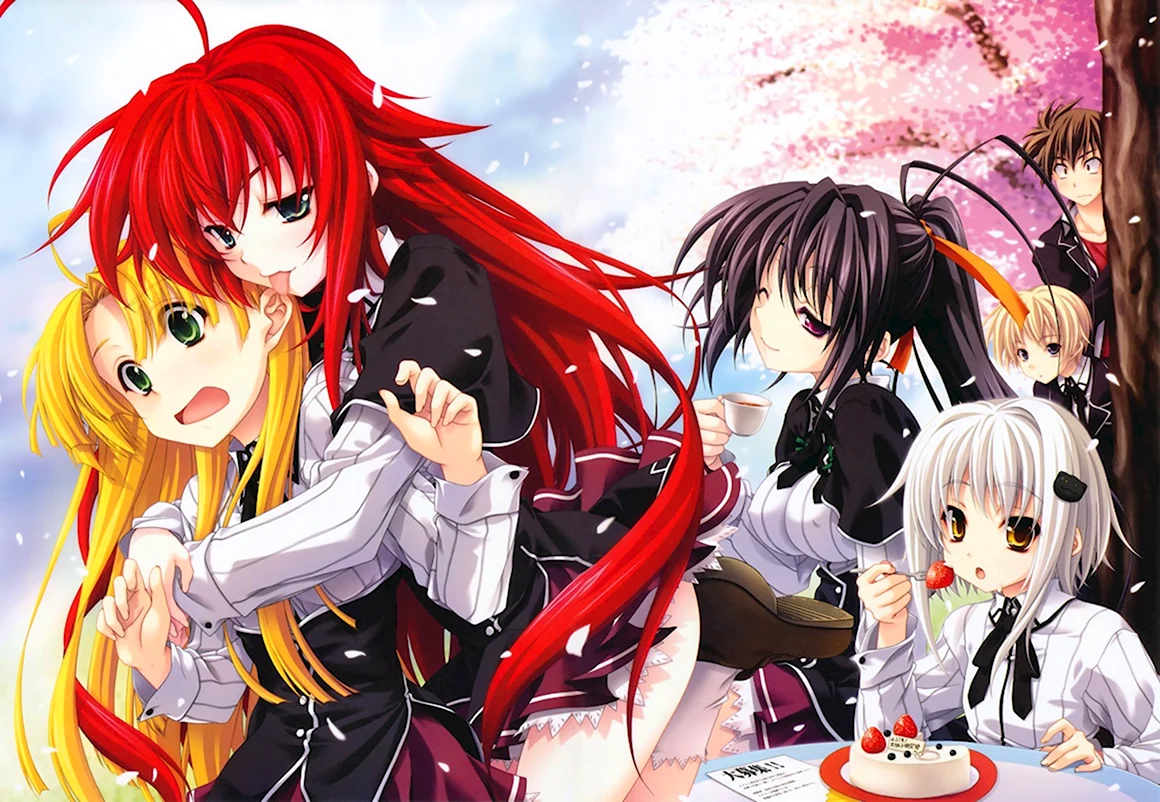 Старшая школа DXD