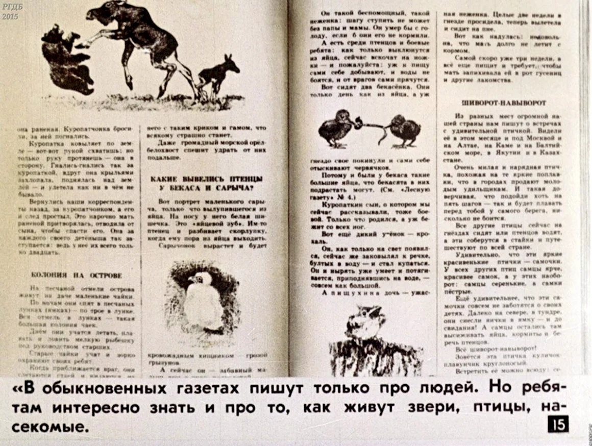 Статьи из газеты Лесная газета