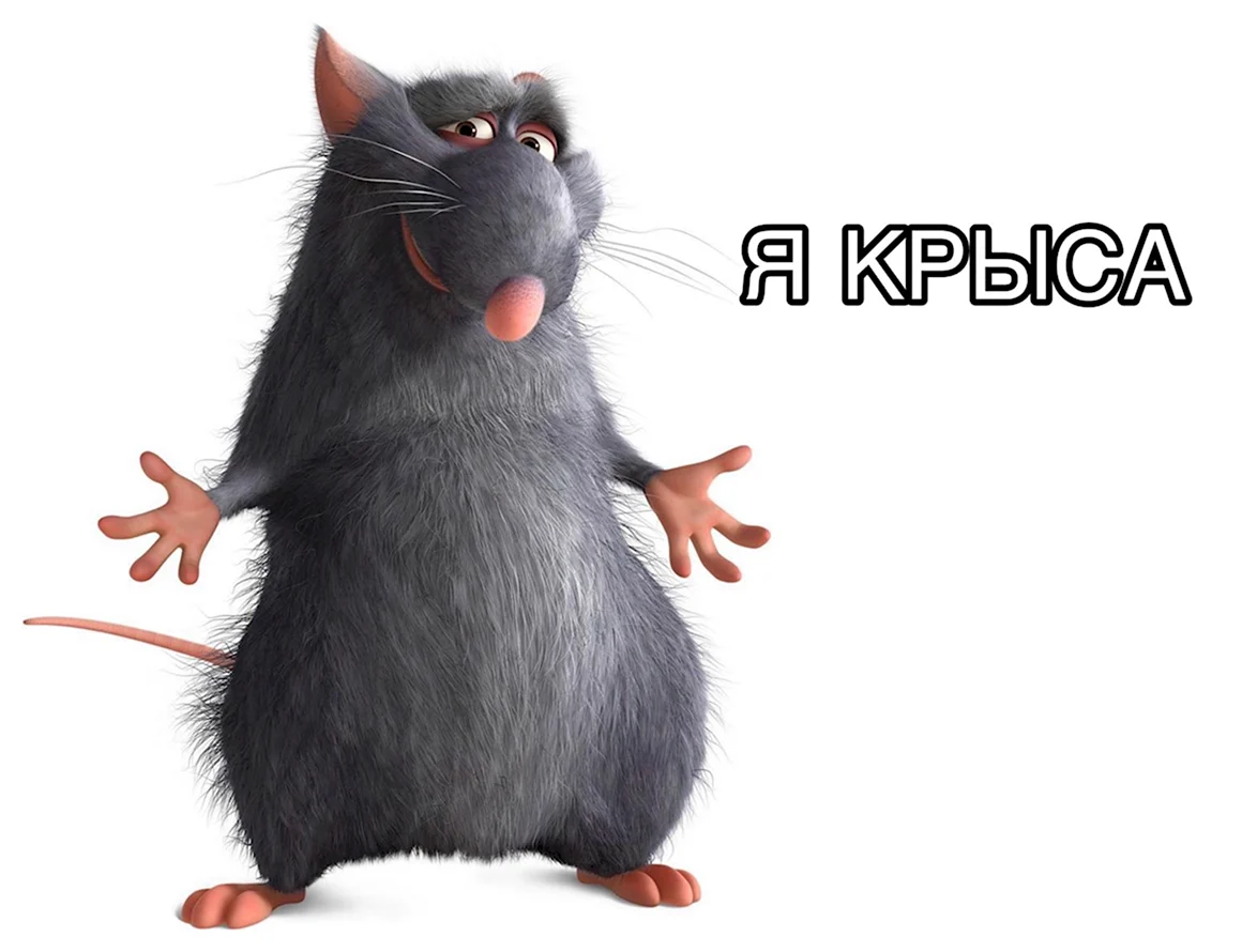 Статусы прикольные ржачные