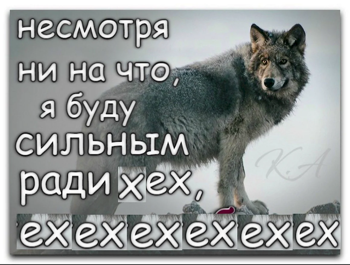 Статусы с волками