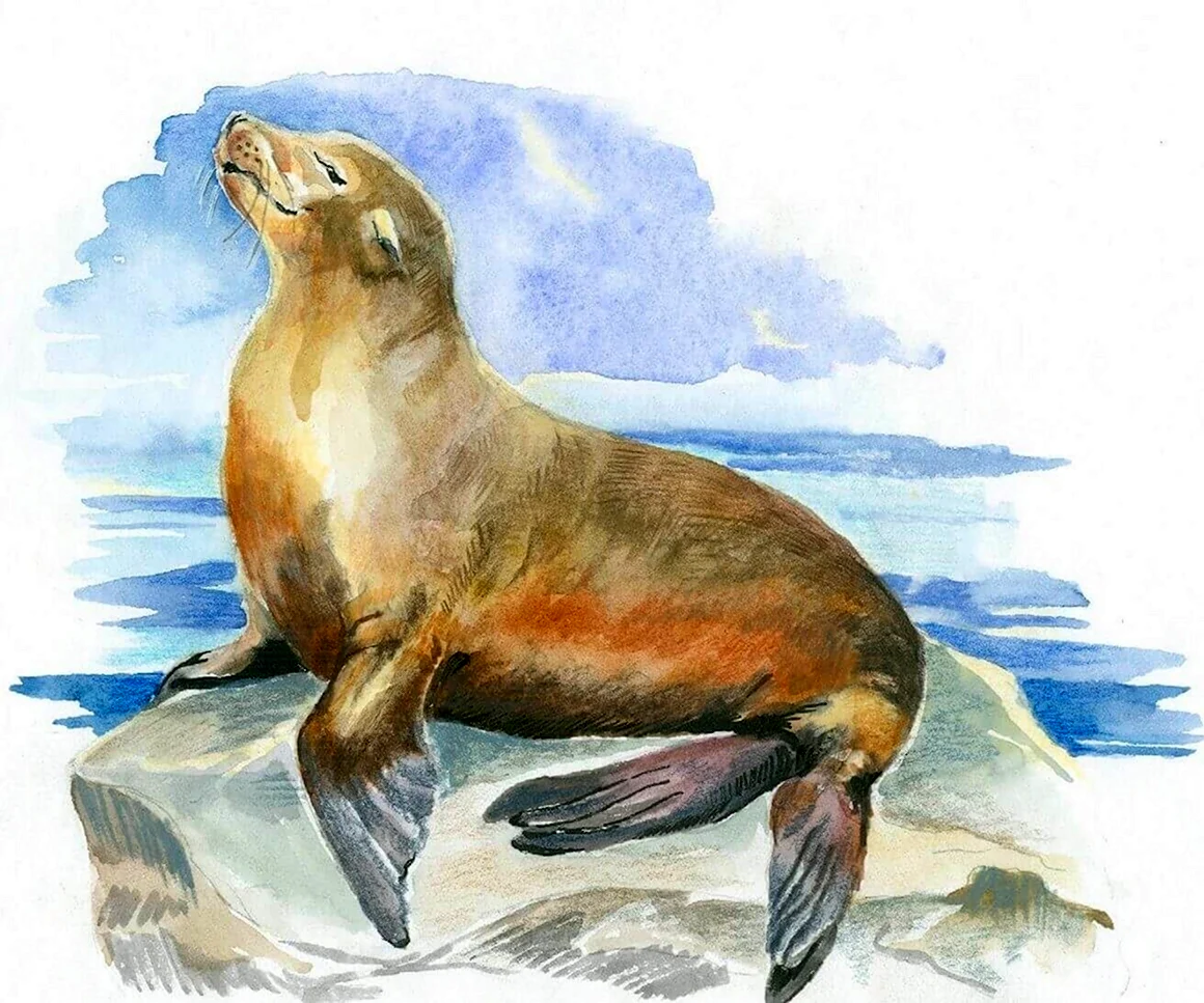 Стеллерова Лев