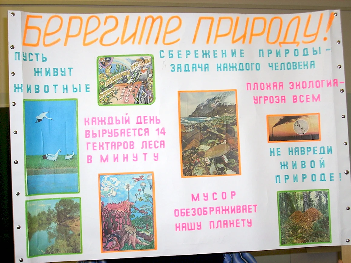 Стенгазета экология