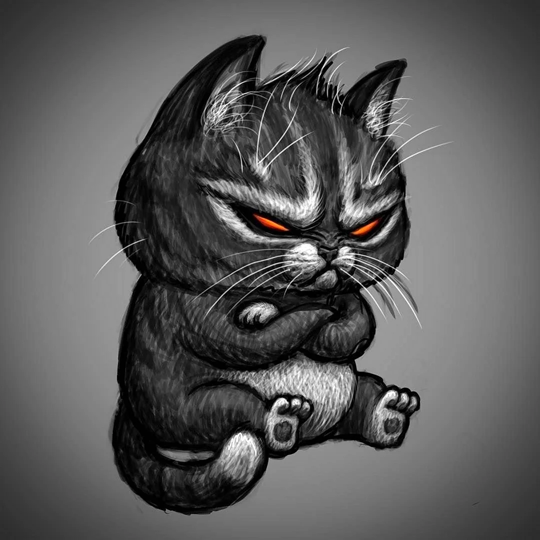 Степан негур кот