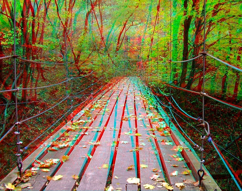 Стереофотография