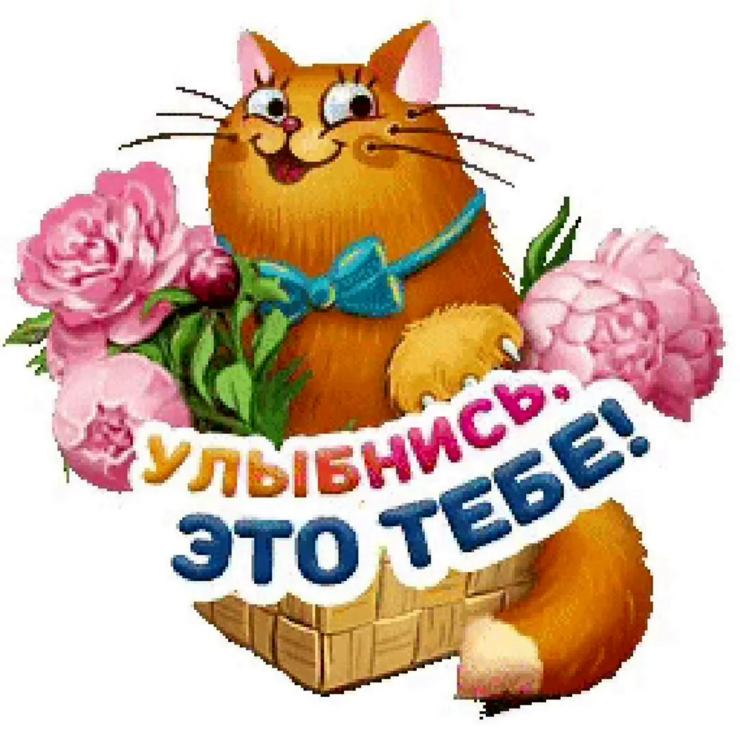 Стикеры для одноклассников красивые