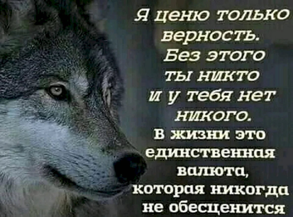 Стихи о верности и преданности