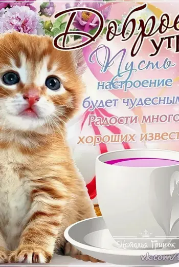 Стихи с добрым утром