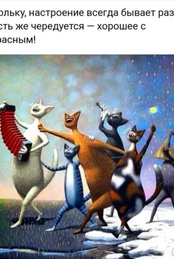 Стишки порошки