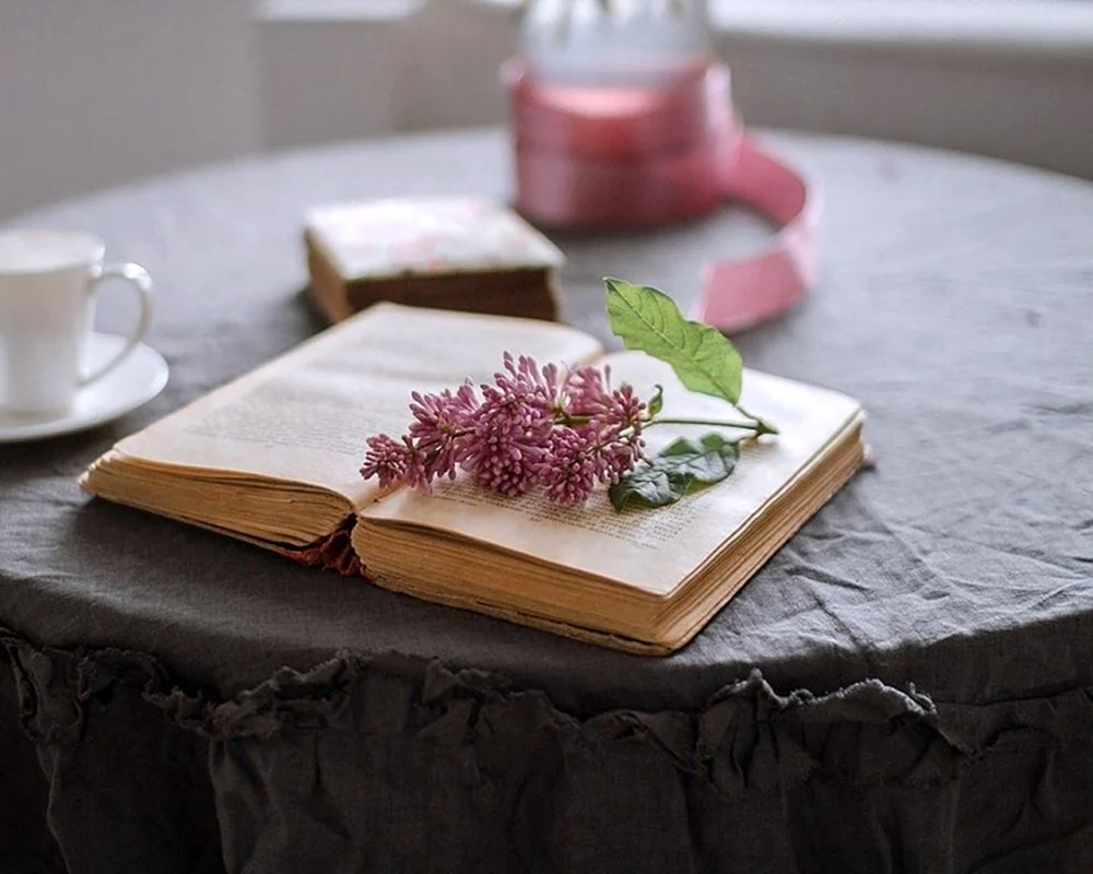 Стол-книжка