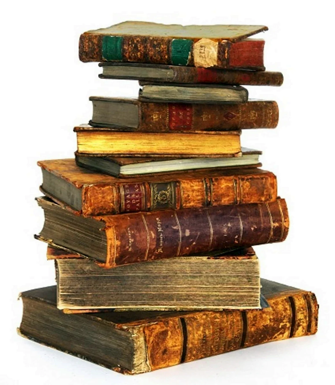 Стопка книг