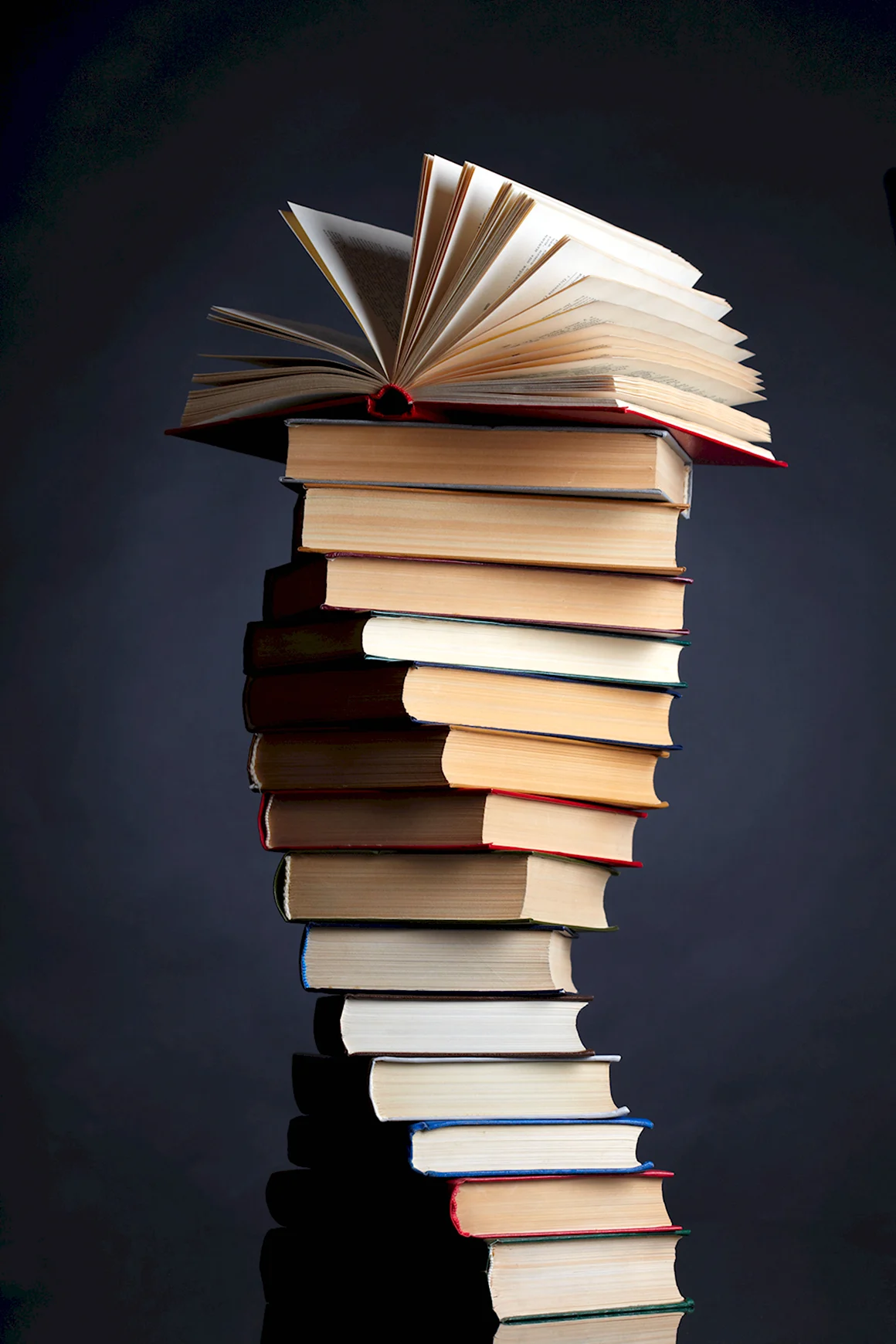 Стопка книг