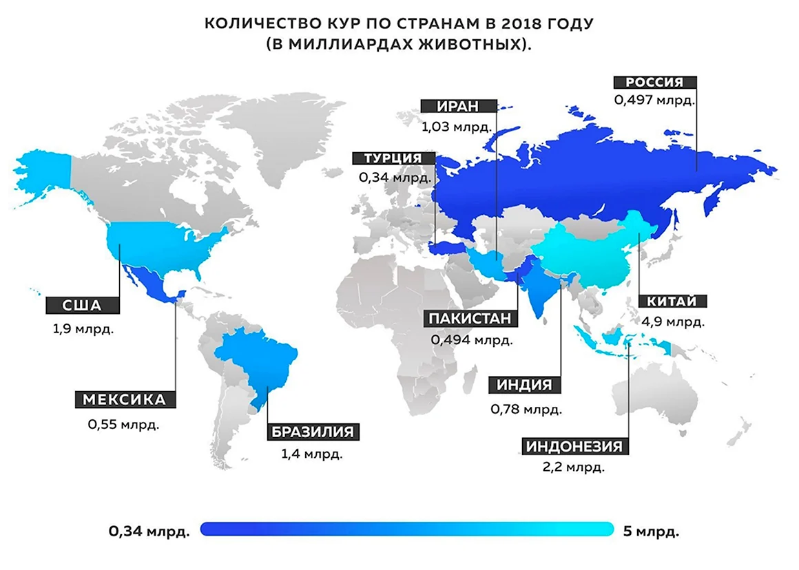 Страны Лидеры по производству курятины
