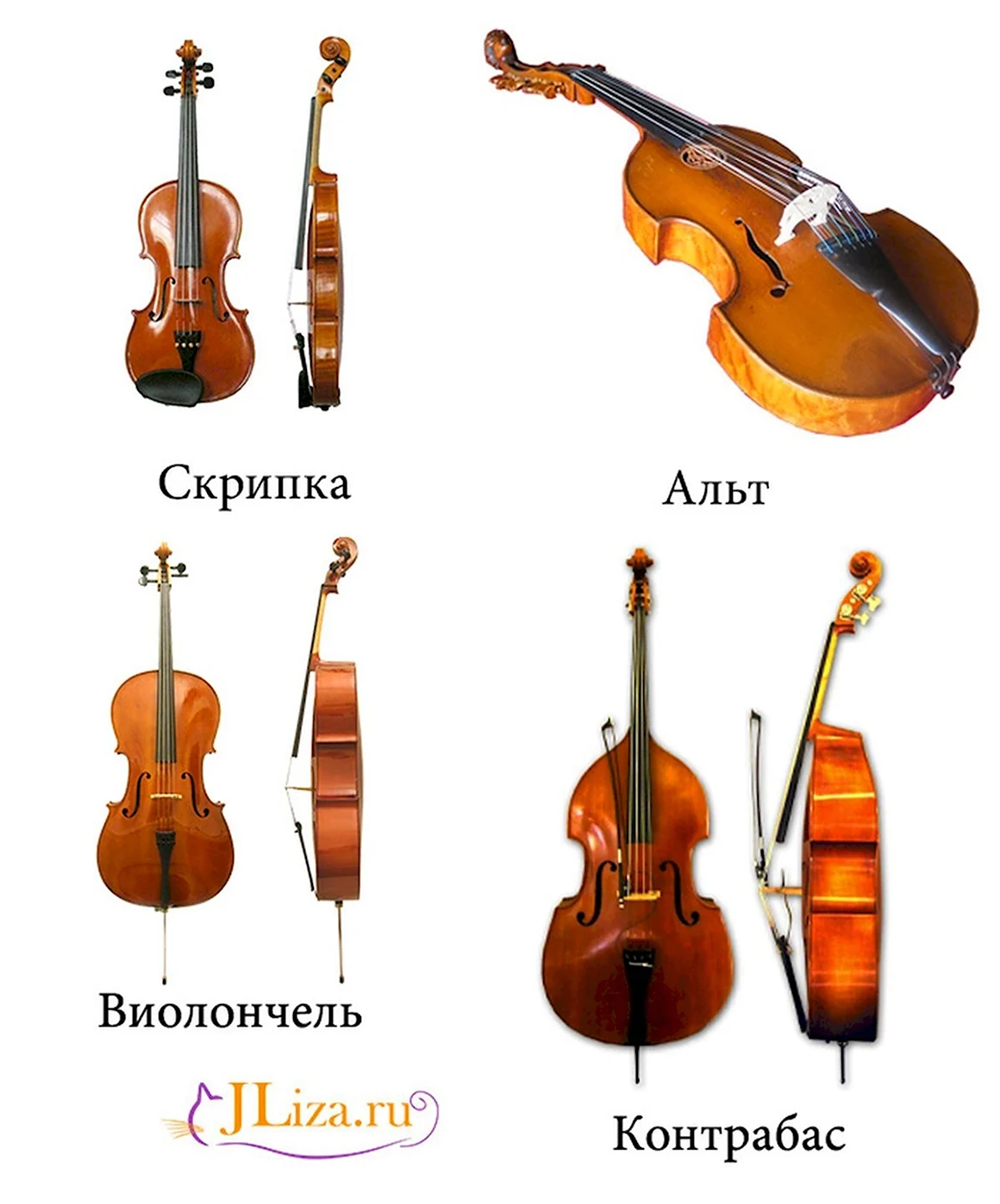 Струнные смычковые инструменты названия