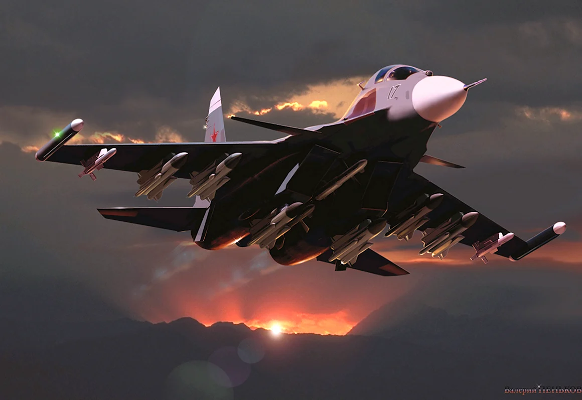 Су-30см арт