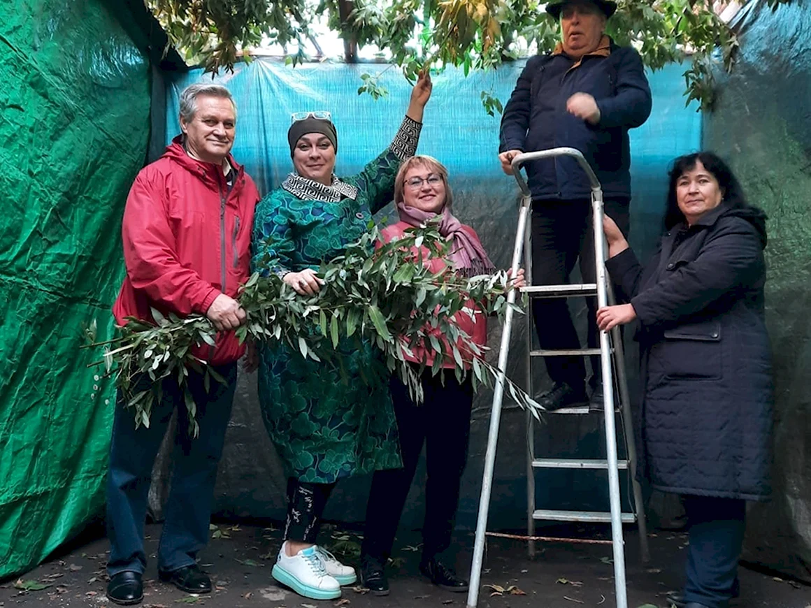 Суккот