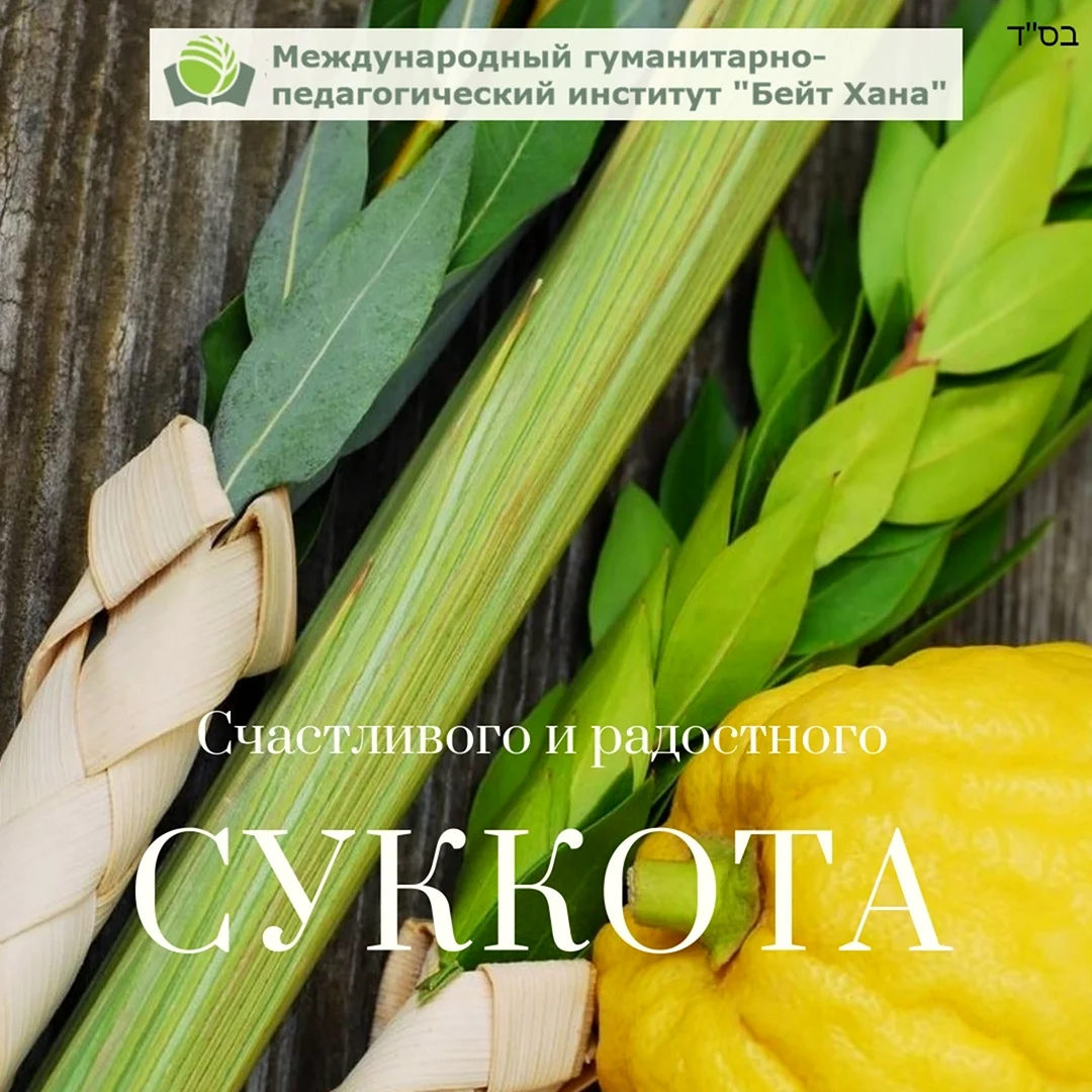 Суккот заповедь 4 растений