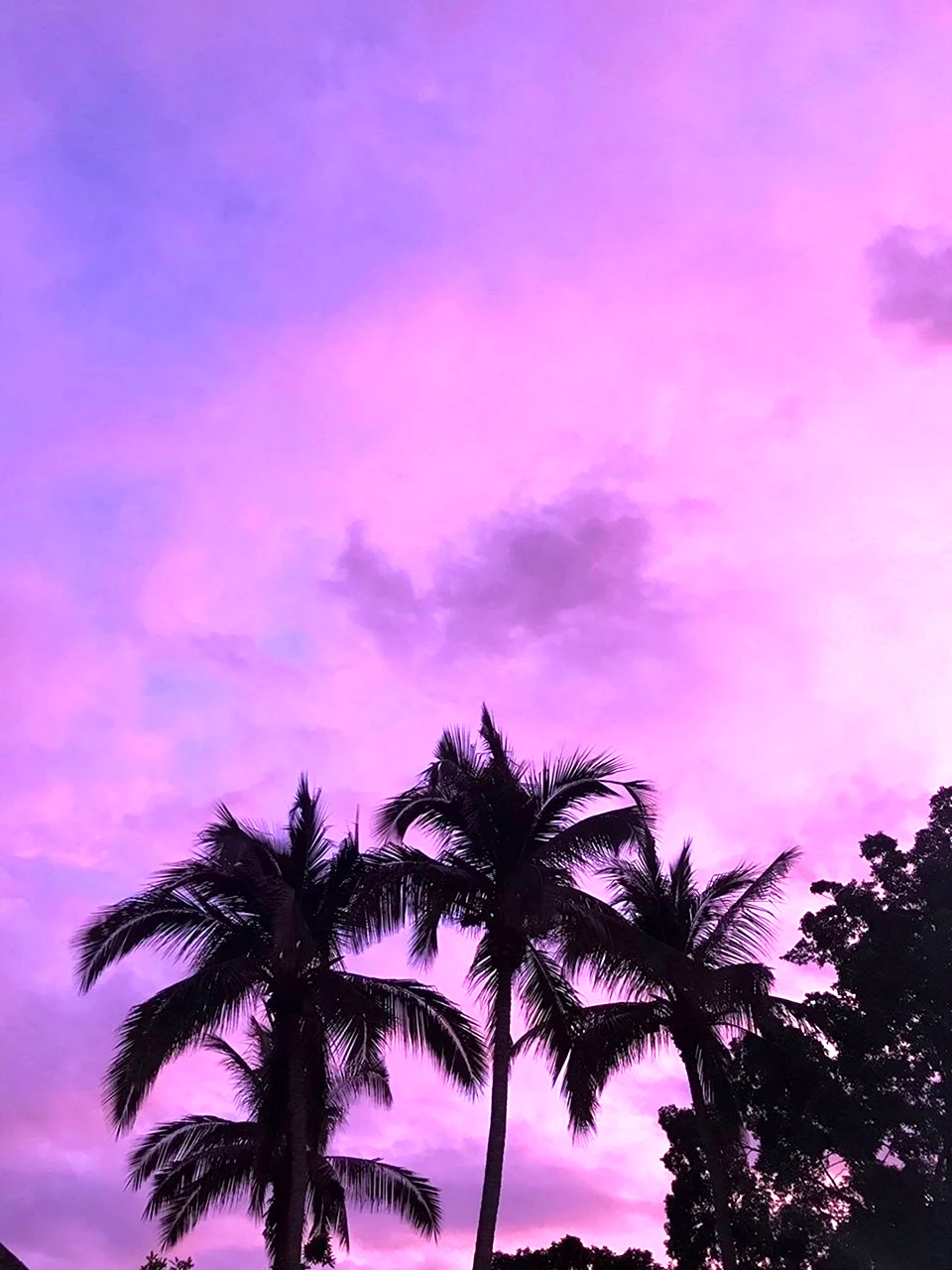 Summer aesthetic