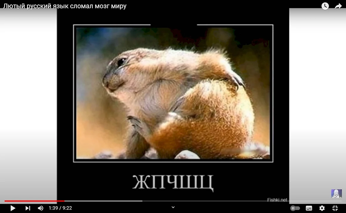 Суслик
