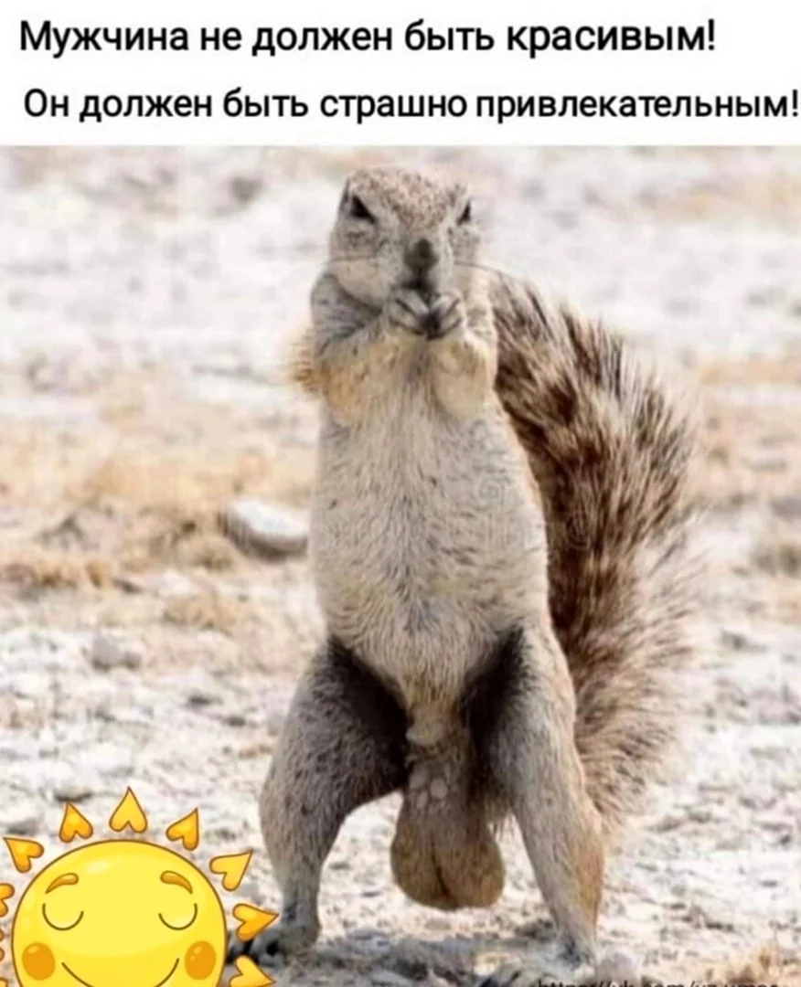 Суслик с яйцами