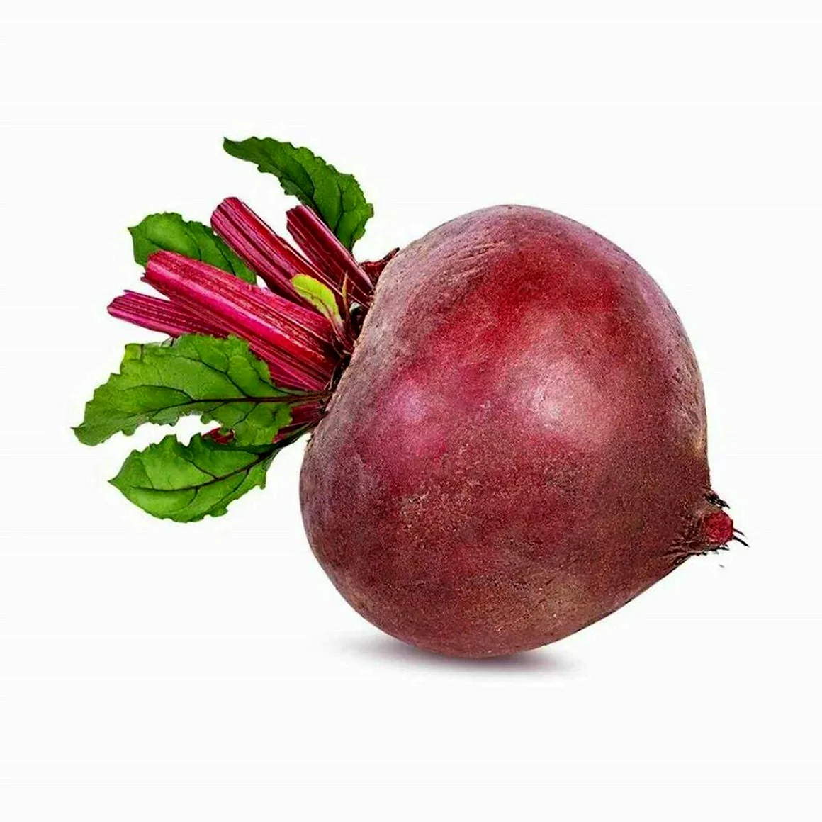 Свекла