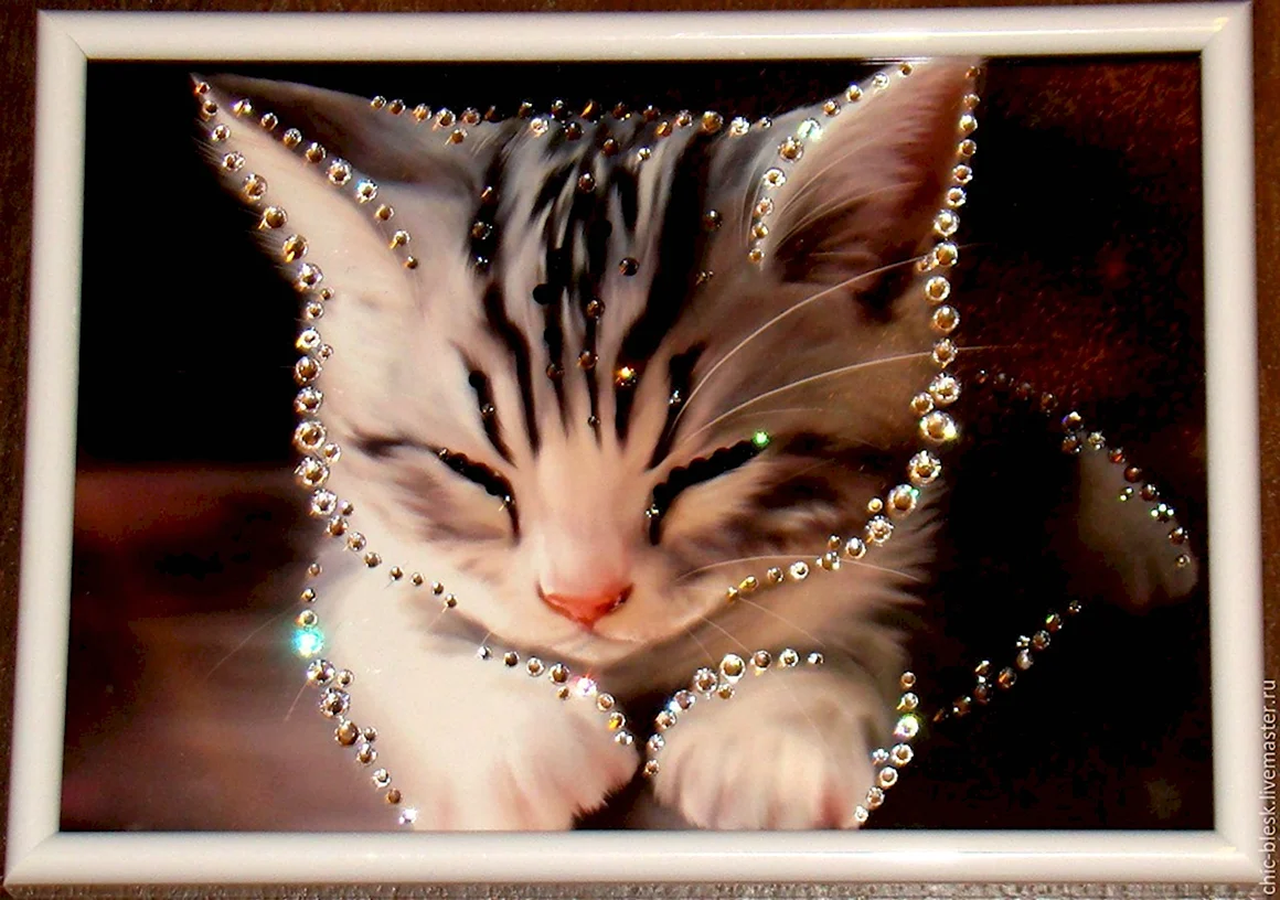 Сверкающие котята