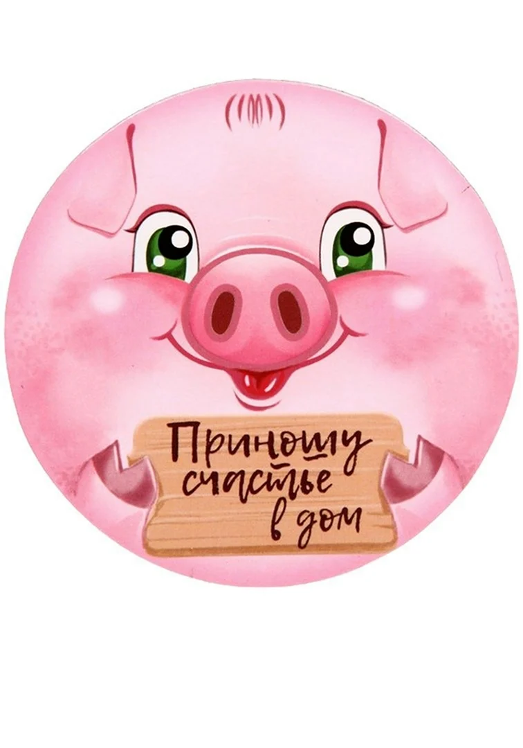 Свинья с надписью