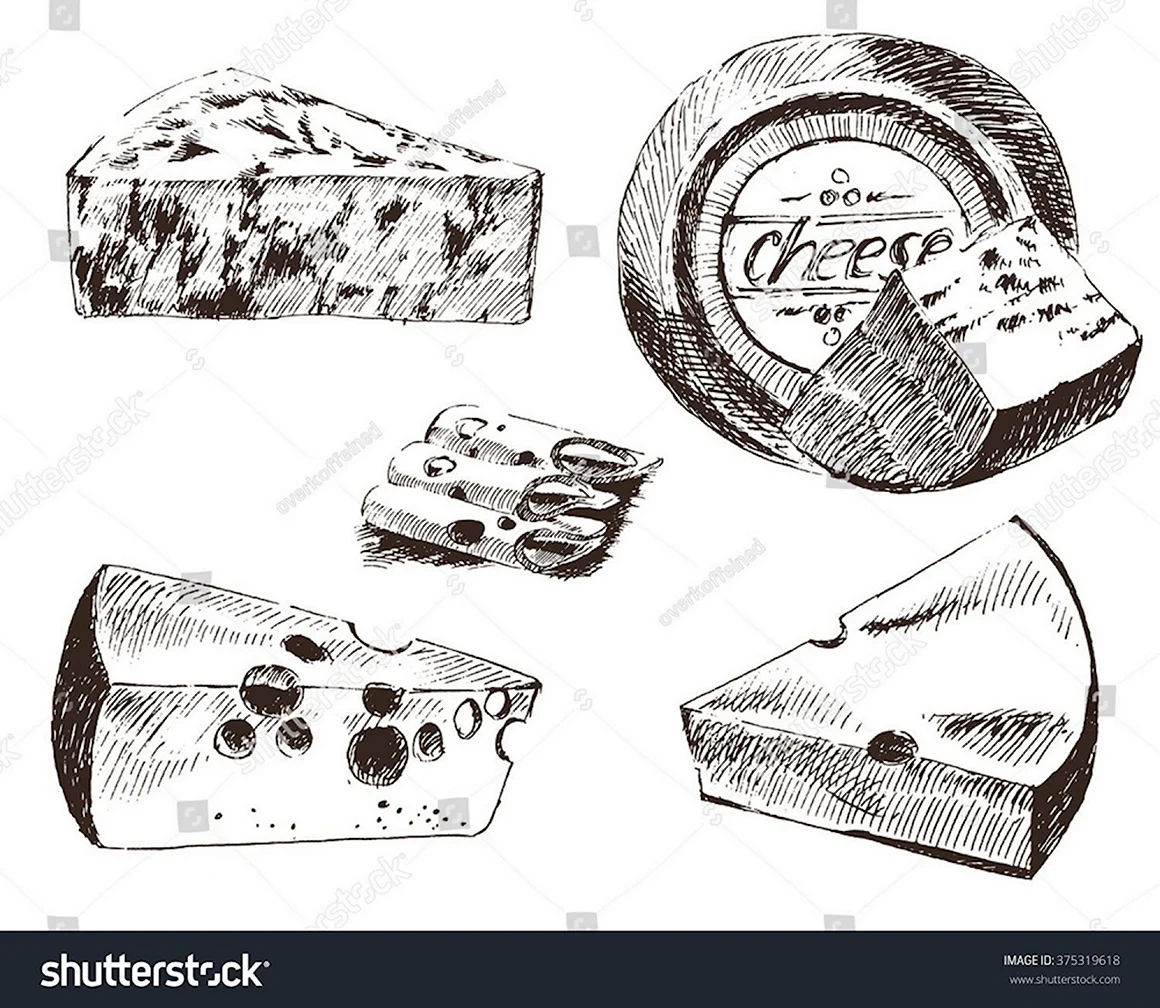 Сыр эскиз