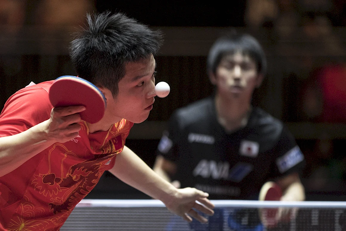 Table Tennis setka Cup