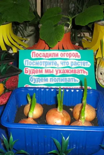 Таблички для огорода на окне