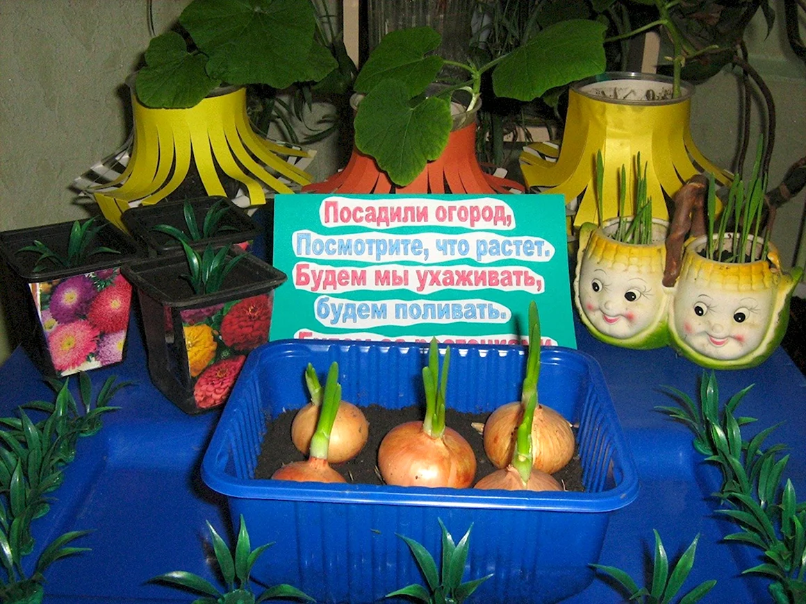 Таблички для огорода на окне